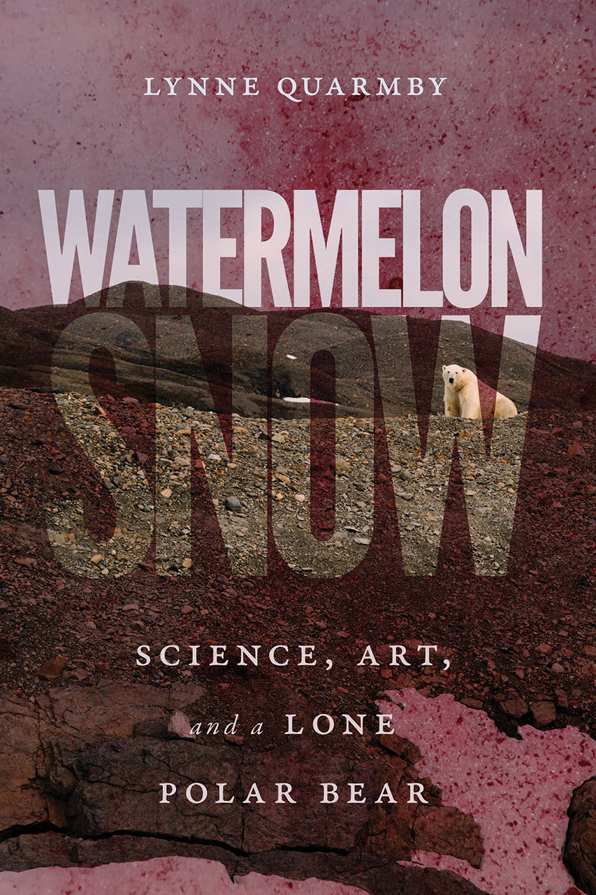 The cover of Watermelon Snow